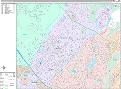 Lake Forest Wall Map Premium Style 2026